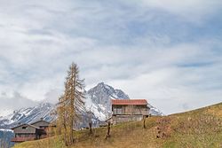 Roman: Im Einklang mit der Natur