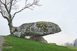 Kulturwanderungen: Wunderliches am Wegrand
