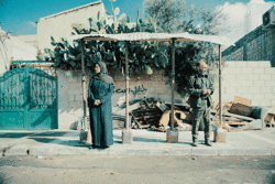 Film: Der scheue Fischer und die Frau