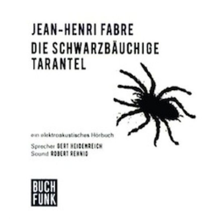 Hörbuch - Der mit den Spinnen tanzte