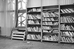 Ausstellung: Die Kulturstadt blüht