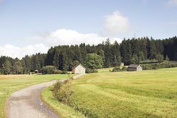Festival: Im klingenden Moor