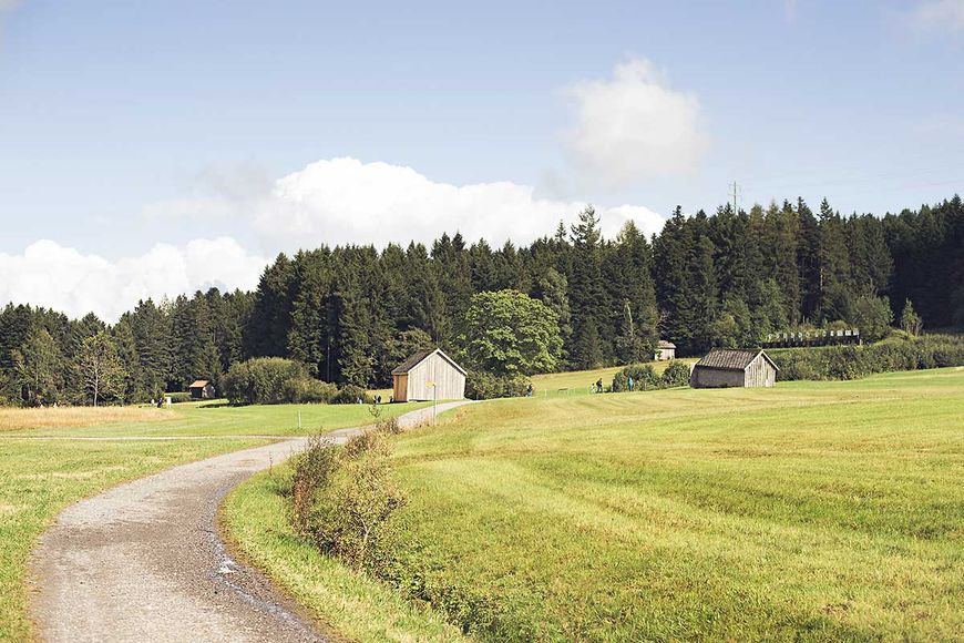 Festival: Im klingenden Moor