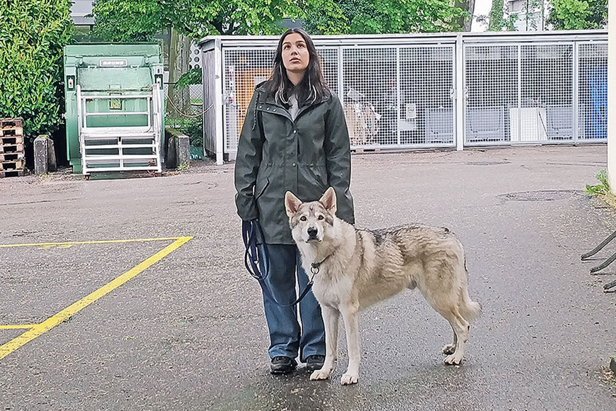 Film: Ein Hund im Wolfspelz