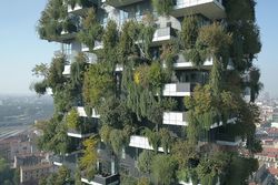 Gartenkultur: Wo Blumen und Utopien gedeihen