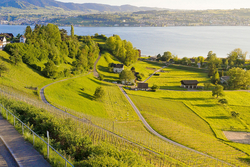 Literarische Wanderungen: Mit Goethe in den Rebbergen