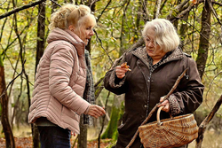 Spielfilm: Im Herbst des Lebens