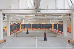 Ausstellung: Zurück in der Wunderkammer