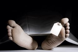 «Die Durstigen»: Rebellion und Lebenswut